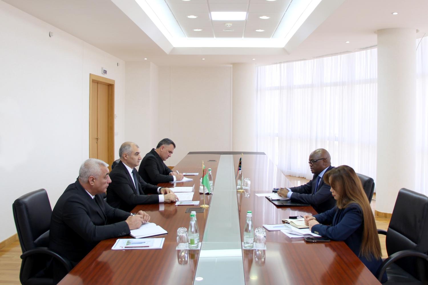 Türkmenistanyň Daşary işler ministriniň orunbasarynyň Günorta Afrika Respublikasynyň täze bellenen…